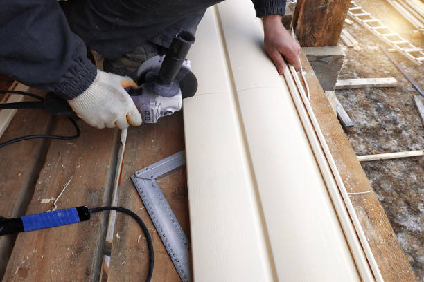 Best Custom Trim and Detailing for Siding  in Sanford, FL